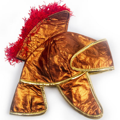 Centurion Kid's Costume