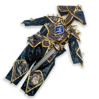 Dragon Knight Costume