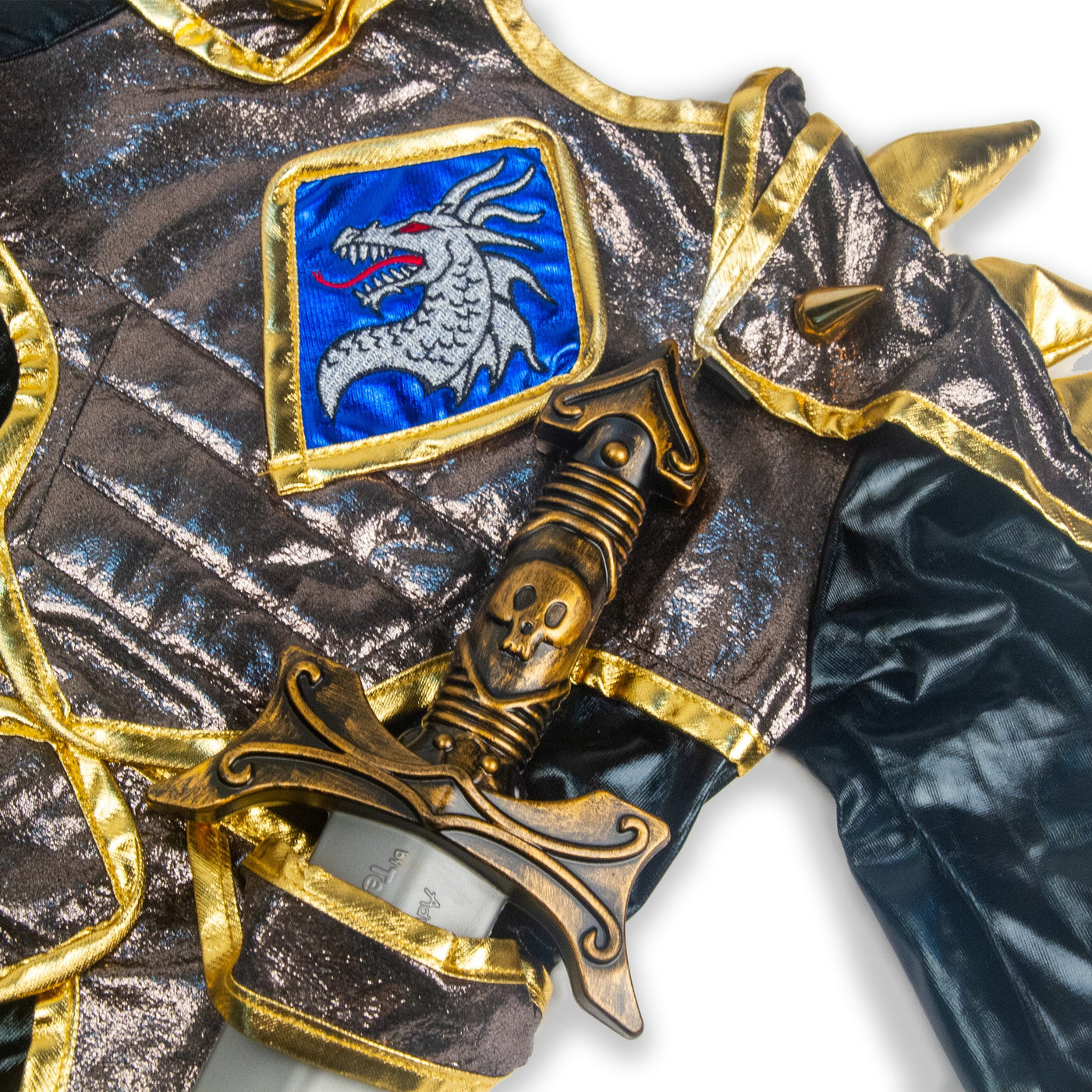 Dragon Knight Costume