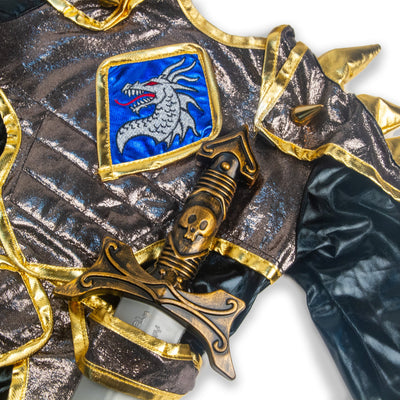 Dragon Knight Costume