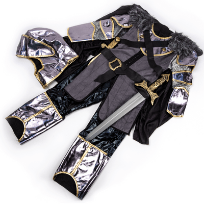 Winter Knight Costume