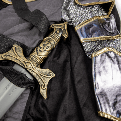 Winter Knight Costume