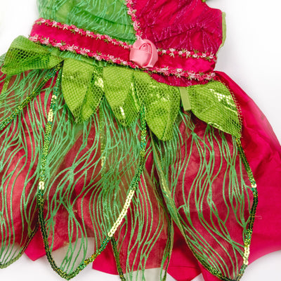 Pink & Green Fairy