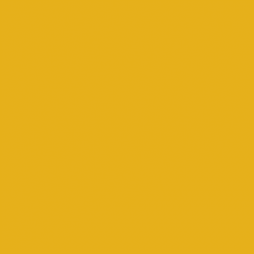 Holy Week Kit - Loop