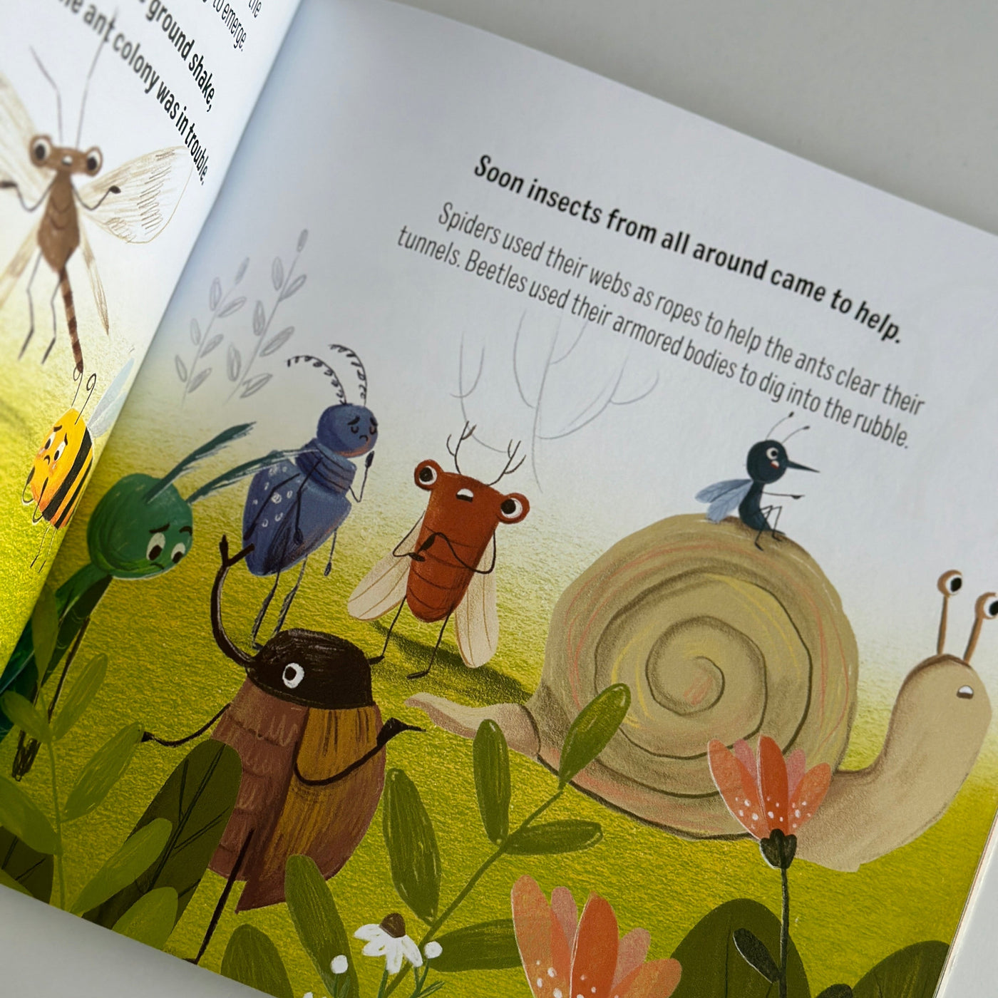 All Together by Jenny Molendyk | Children's Book