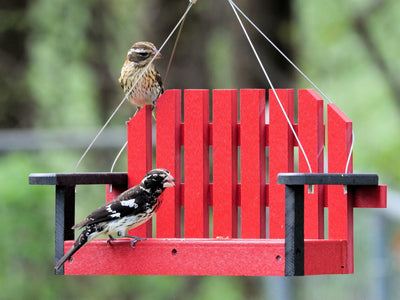 Amish-Made Porch Swing Bird Feeder, Eco-Friendly Poly Lumber Hanging Decorative Bird Feeder